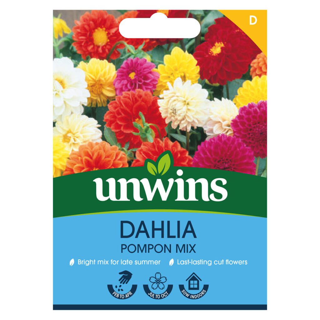 Unwins Dahlia Pompom Mix Seeds 5051618030809 2